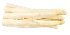 ESP&Aacute;RRAGO BLANCO